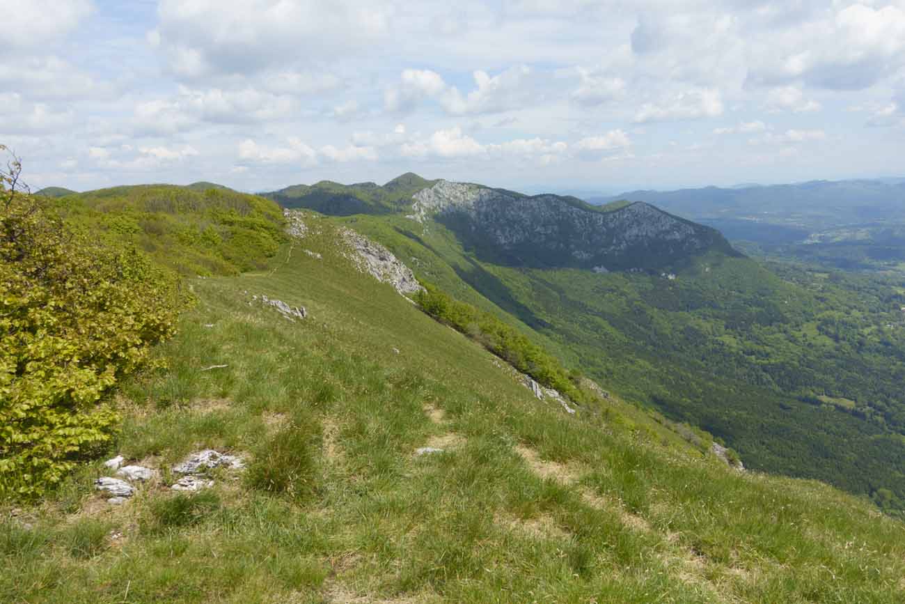 DSC02639